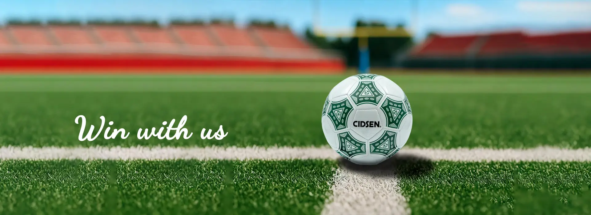 1920-700 soccer ball banner